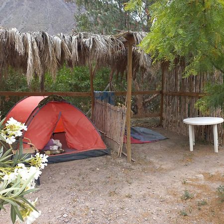 Astro Camping Elqui Experience Vicuña エクステリア 写真
