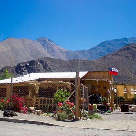 Astro Camping Elqui Experience Vicuña エクステリア 写真