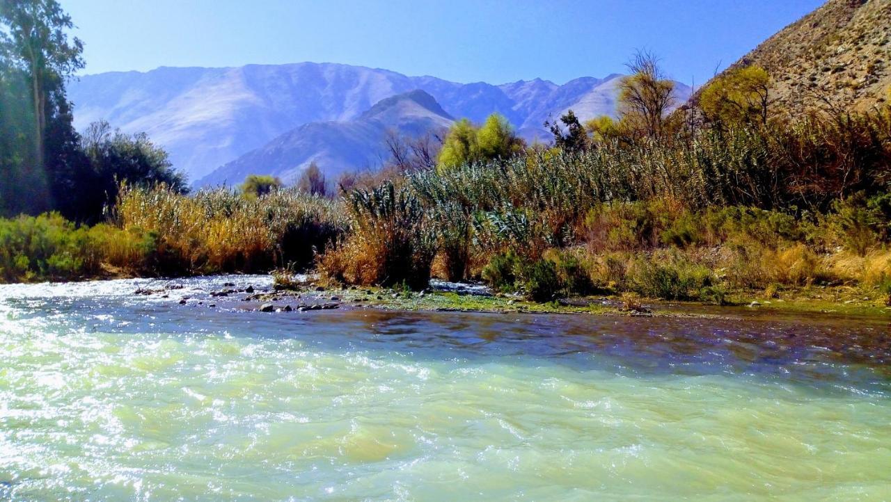 Astro Camping Elqui Experience Vicuña エクステリア 写真