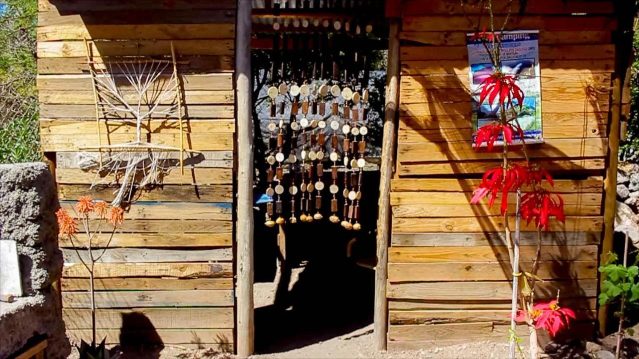 Astro Camping Elqui Experience Vicuña エクステリア 写真